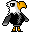 Apollo bald eagle